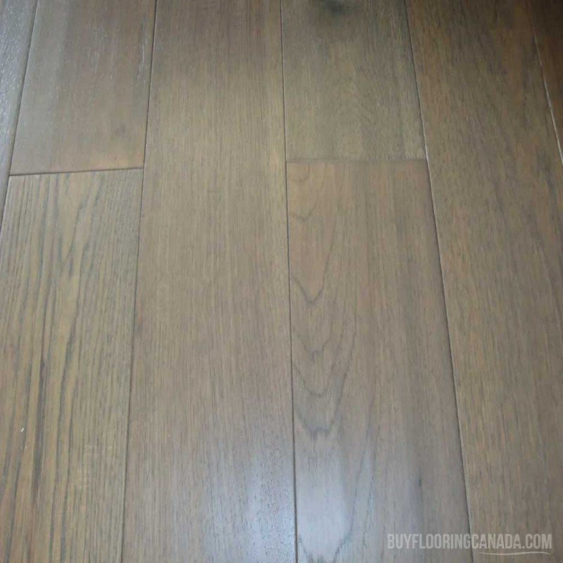 Golden Choice Engineered Hickory 6-1/2" x 3/4" - Medici Golden Choice Engineered Hickory 6-1/2" x 3/4" - Medici
