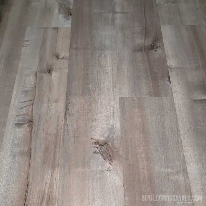 Golden Choice Laminate 165mm - Universal Oak 1031 Golden Choice Laminate 165mm - Universal Oak 1031
