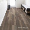 Shaw Intrepid HD Plus - Chestnut Oak Shaw Intrepid HD Plus - Chestnut Oak