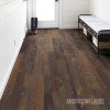 Shaw Intrepid HD Plus - Forest Pine Shaw Intrepid HD Plus - Forest Pine