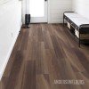 Shaw Intrepid HD Plus - Ravine Oak Shaw Intrepid HD Plus - Ravine Oak