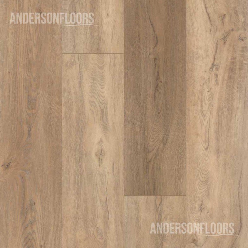Shaw Pantheon HD Plus - Foresta Shaw Pantheon HD Plus - Foresta